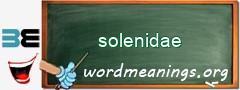 WordMeaning blackboard for solenidae